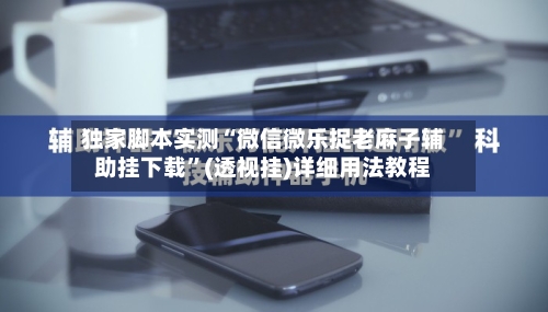 独家脚本实测“微信微乐捉老麻子辅助挂下载”(透视挂)详细用法教程