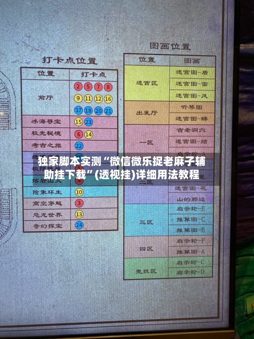 独家脚本实测“微信微乐捉老麻子辅助挂下载”(透视挂)详细用法教程-第3张图片