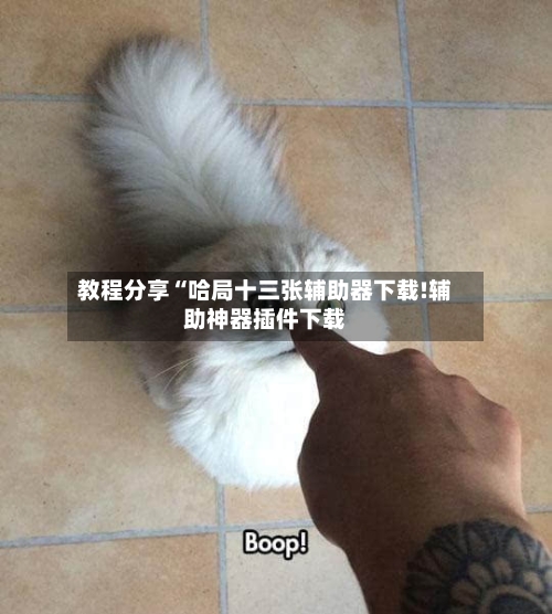 教程分享“哈局十三张辅助器下载!辅助神器插件下载-第3张图片