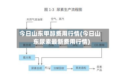 今日山东甲醇费用行情(今日山东尿素最新费用行情)