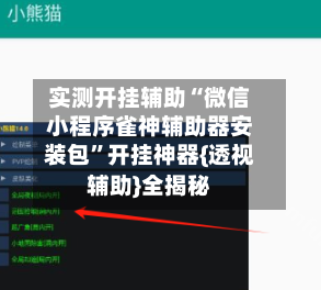 实测开挂辅助“微信小程序雀神辅助器安装包	”开挂神器{透视辅助}全揭秘-第3张图片