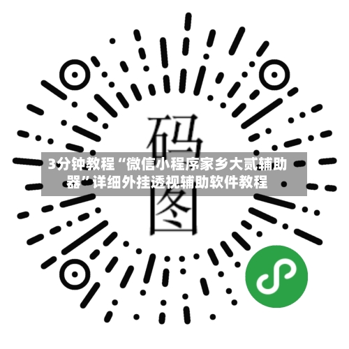 3分钟教程“微信小程序家乡大贰辅助器”详细外挂透视辅助软件教程-第3张图片