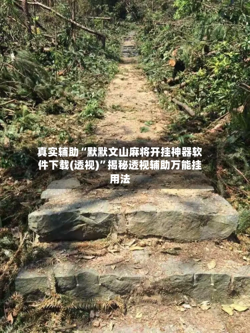 真实辅助“默默文山麻将开挂神器软件下载(透视)	”揭秘透视辅助万能挂用法-第2张图片