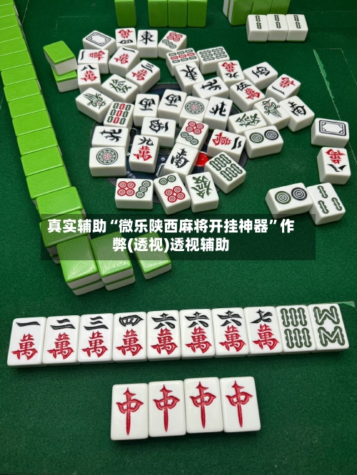 真实辅助“微乐陕西麻将开挂神器	”作弊(透视)透视辅助-第2张图片