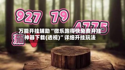 万能开挂辅助“微乐跑得快免费开挂神器下载(透视)”详细开挂玩法-第2张图片