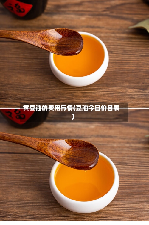 黄豆油的费用行情(豆油今日价目表)-第2张图片