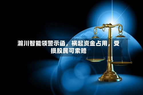 瀚川智能领警示函，祸起资金占用，受损股民可索赔-第2张图片