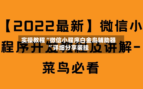 实操教程“微信小程序白金岛辅助器”详细分享装挂-第3张图片