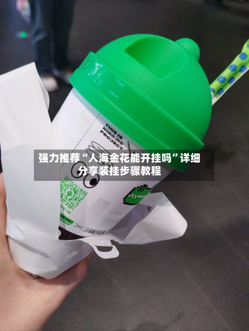 强力推荐“人海金花能开挂吗”详细分享装挂步骤教程-第3张图片