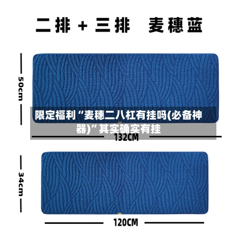 限定福利“麦穗二八杠有挂吗(必备神器)	”其实确实有挂-第2张图片