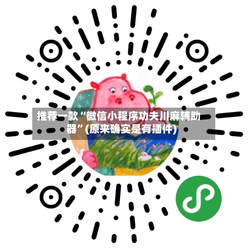 推荐一款“微信小程序功夫川麻辅助器	”(原来确实是有插件)-第2张图片