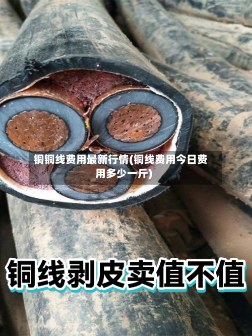 铜铜线费用最新行情(铜线费用今日费用多少一斤)