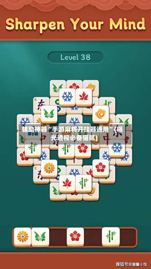 辅助神器“手游麻将开挂器通用”(曝光透视必备猫腻)-第2张图片