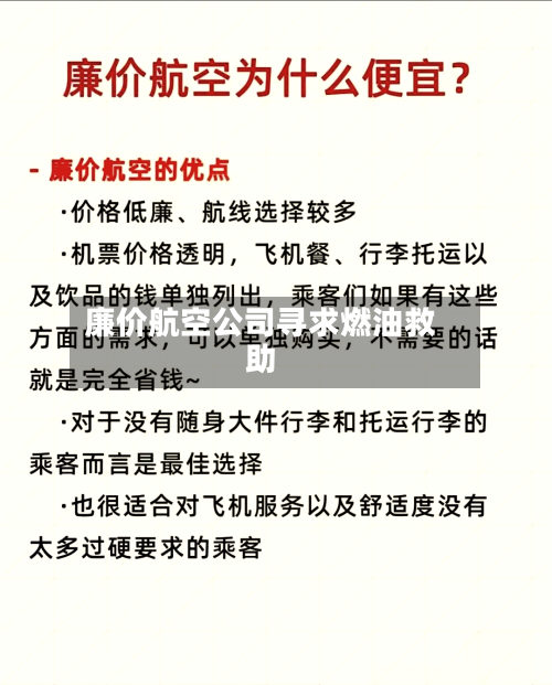 廉价航空公司寻求燃油救助-第1张图片
