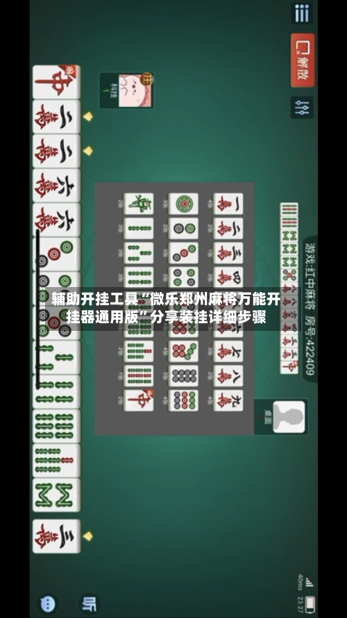 辅助开挂工具“微乐郑州麻将万能开挂器通用版”分享装挂详细步骤-第2张图片