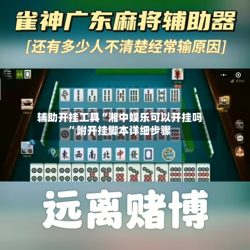 辅助开挂工具“湘中娱乐可以开挂吗	”附开挂脚本详细步骤-第2张图片