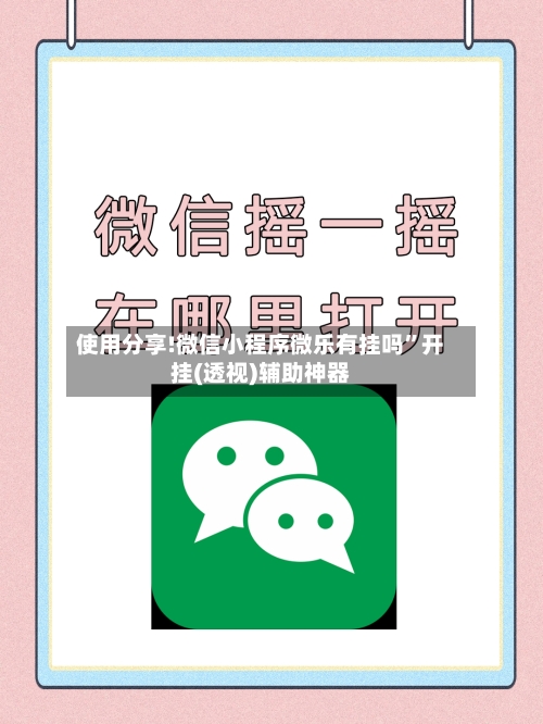 使用分享!微信小程序微乐有挂吗”开挂(透视)辅助神器-第2张图片