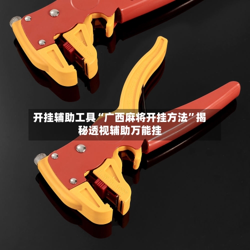 开挂辅助工具“广西麻将开挂方法”揭秘透视辅助万能挂-第3张图片