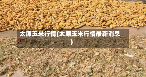 太原玉米行情(太原玉米行情最新消息)-第2张图片