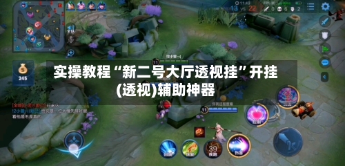 实操教程“新二号大厅透视挂	”开挂(透视)辅助神器-第3张图片