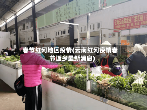 春节红河地区疫情(云南红河疫情春节返乡最新消息)