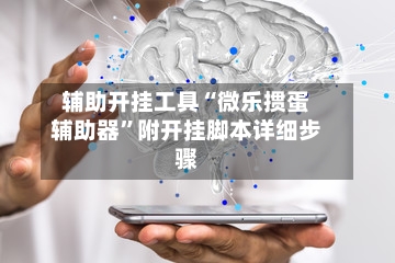 辅助开挂工具“微乐掼蛋辅助器	”附开挂脚本详细步骤-第2张图片