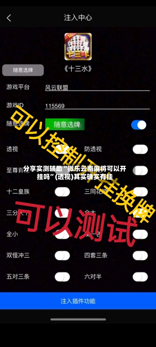 分享实测辅助“微乐云南麻将可以开挂吗”(透视)其实确实有挂