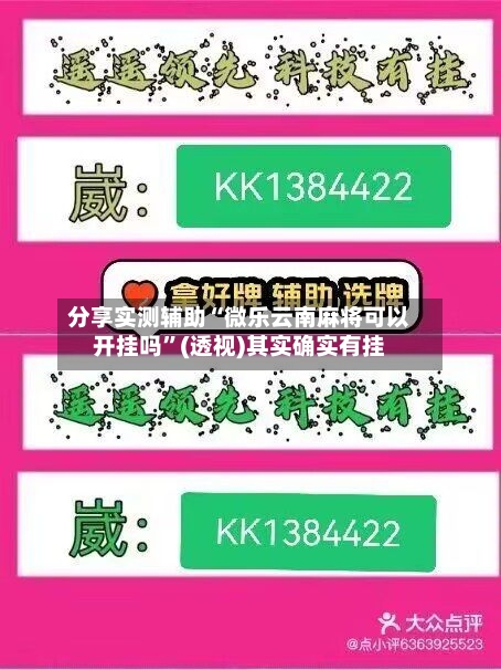 分享实测辅助“微乐云南麻将可以开挂吗”(透视)其实确实有挂-第2张图片