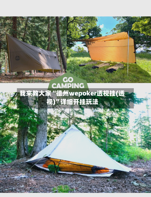 我来教大家“德州wepoker透视挂(透视)	”详细开挂玩法-第2张图片