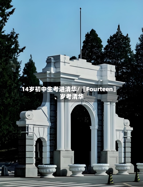 14岁初中生考进清华/〖Fourteen〗、岁考清华-第3张图片