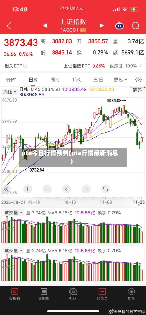 pta今日行情预判(pta行情最新消息)-第2张图片