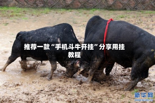 推荐一款“手机斗牛开挂	”分享用挂教程-第2张图片