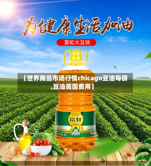 【世界商品市场行情chicago豆油每磅,豆油美国费用】
