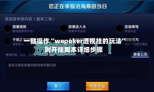 一键操作“wepoker透视挂的玩法”附开挂脚本详细步骤-第2张图片