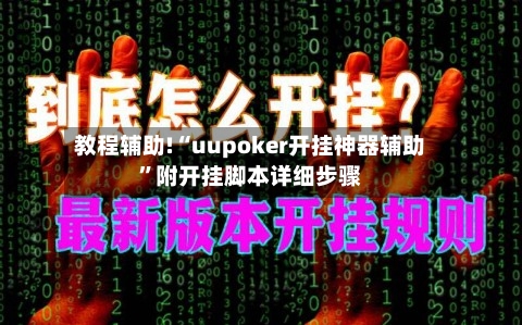 教程辅助!“uupoker开挂神器辅助”附开挂脚本详细步骤-第3张图片