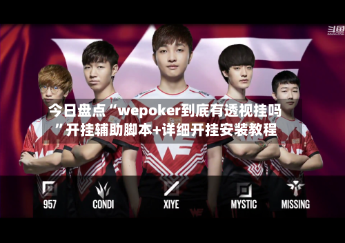 今日盘点“wepoker到底有透视挂吗”开挂辅助脚本+详细开挂安装教程-第3张图片