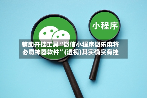 辅助开挂工具“微信小程序微乐麻将必赢神器软件”(透视)其实确实有挂-第2张图片