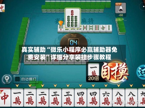 真实辅助“微乐小程序必赢辅助器免费安装	”详细分享装挂步骤教程-第2张图片