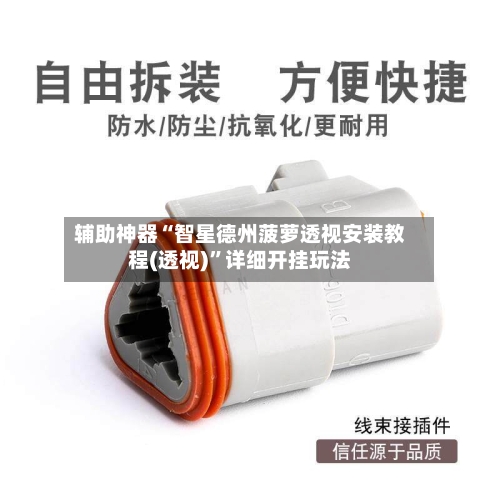 辅助神器“智星德州菠萝透视安装教程(透视)	”详细开挂玩法-第3张图片