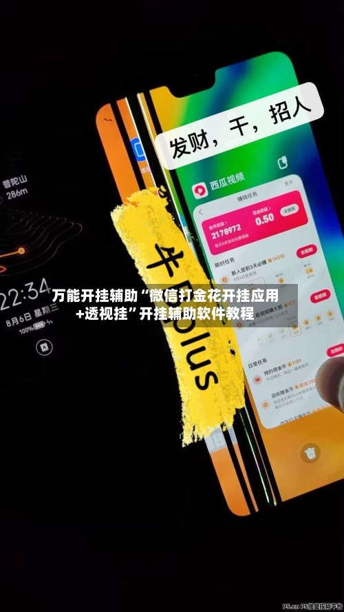 万能开挂辅助“微信打金花开挂应用+透视挂”开挂辅助软件教程-第3张图片