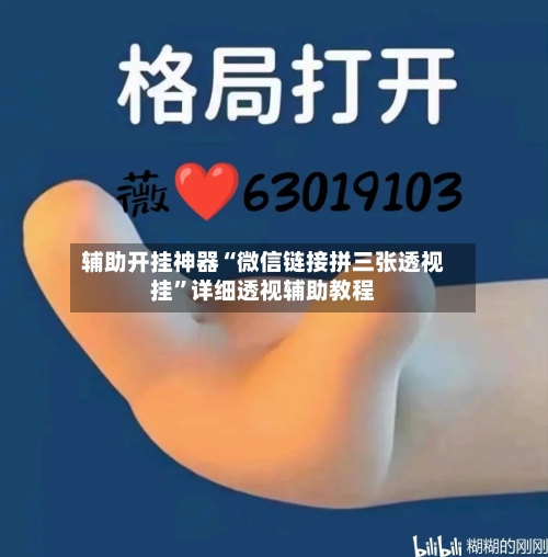 辅助开挂神器“微信链接拼三张透视挂”详细透视辅助教程-第3张图片