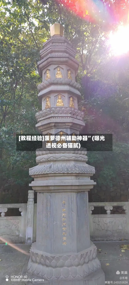 [教程经验]菠萝德州辅助神器”(曝光透视必备猫腻)-第3张图片