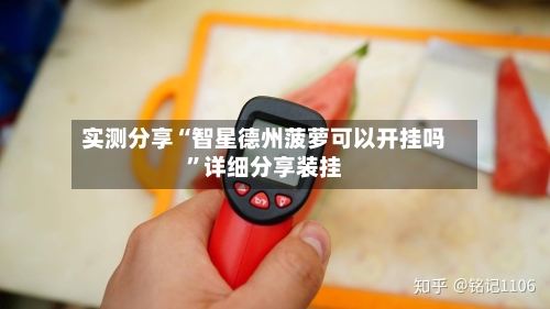 实测分享“智星德州菠萝可以开挂吗	”详细分享装挂-第2张图片