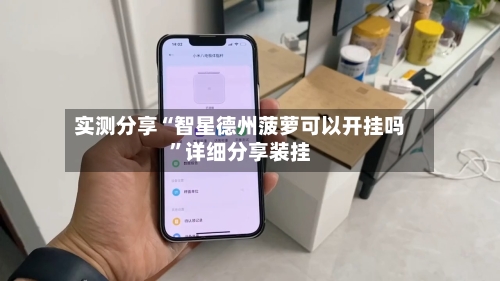 实测分享“智星德州菠萝可以开挂吗”详细分享装挂-第3张图片
