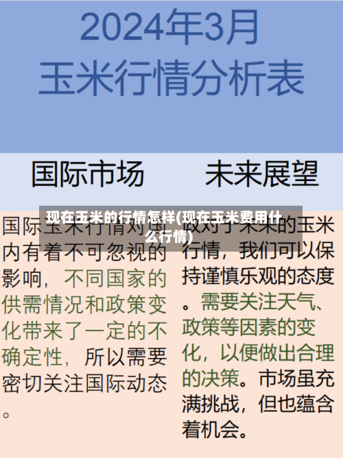 现在玉米的行情怎样(现在玉米费用什么行情)