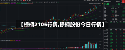 【棕榈2105行情,棕榈股份今日行情】-第3张图片