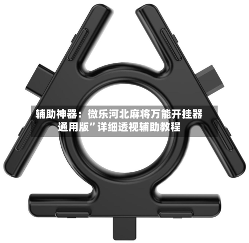 辅助神器：微乐河北麻将万能开挂器通用版”详细透视辅助教程-第3张图片