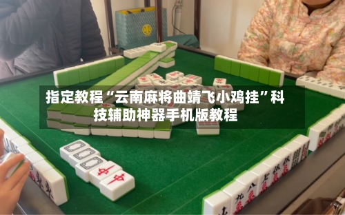 指定教程“云南麻将曲靖飞小鸡挂	”科技辅助神器手机版教程-第2张图片