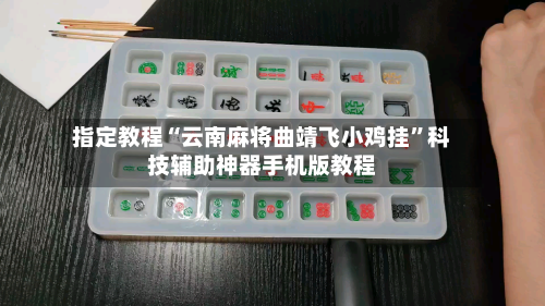 指定教程“云南麻将曲靖飞小鸡挂”科技辅助神器手机版教程-第3张图片