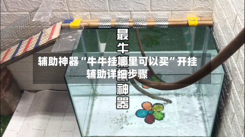 辅助神器“牛牛挂哪里可以买	”开挂辅助详细步骤-第2张图片